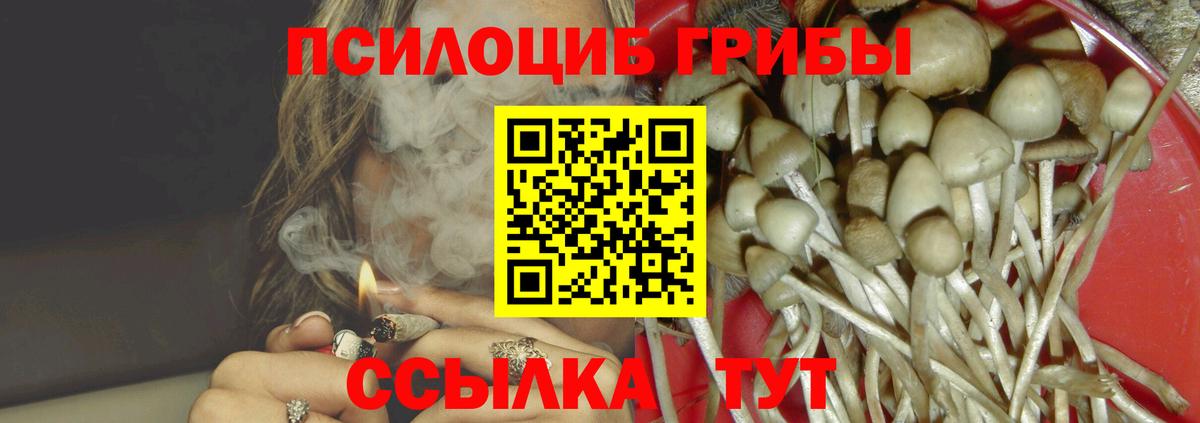 Псилоцибиновые грибы ЛСД  Галлюциногенные грибы Cubensis  Обнинск  купить наркоту  Вход с VPN 